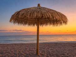 Endureed® 9-Ft Palm Umbrella Kit